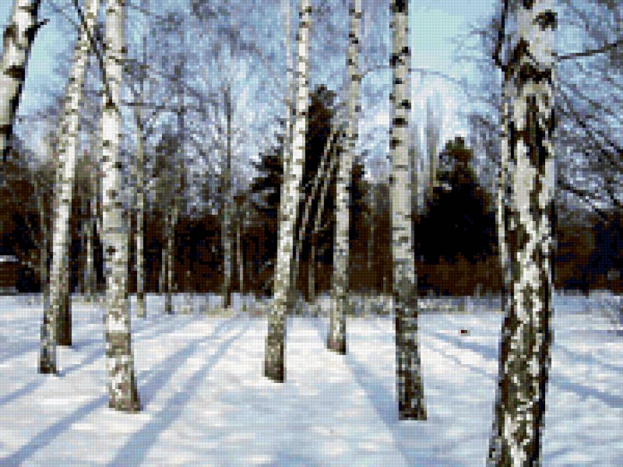 зимний лес - природа, пейзаж, времена года - предпросмотр