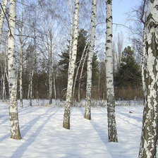 Оригинал схемы вышивки «зимний лес» (№386551)