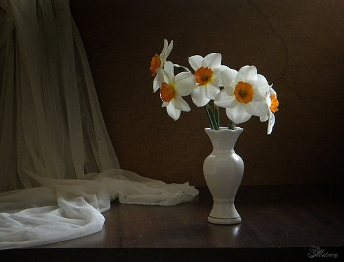 №386691 - натюрморт, букет, цветы, нарциссы - оригинал
