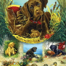 Схема вышивки «№386773»