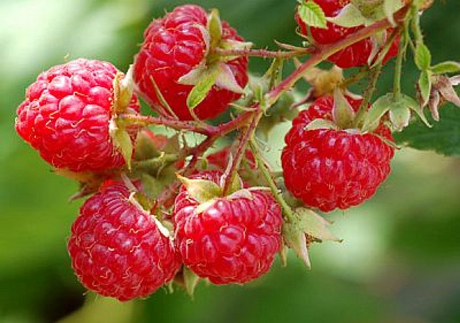 f - оригинал