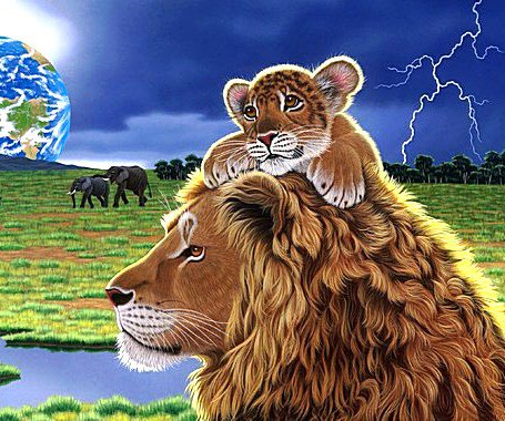 Отец и сын - дикая природа, саванна, животные, львы - оригинал