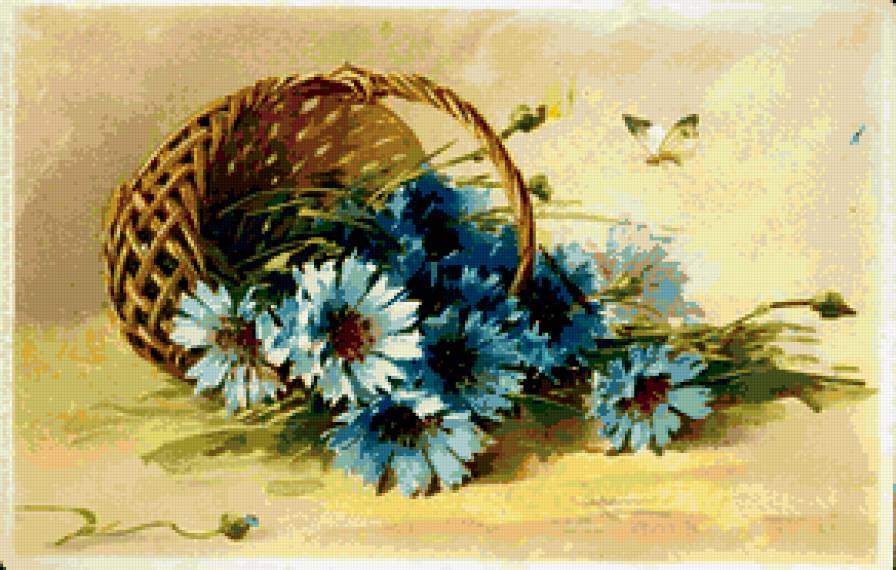 васильки - предпросмотр