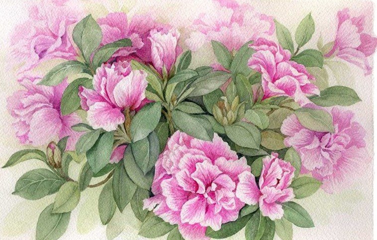 нежные пионы - оригинал