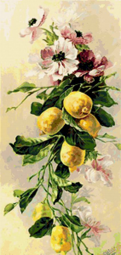 цветение лимона - предпросмотр