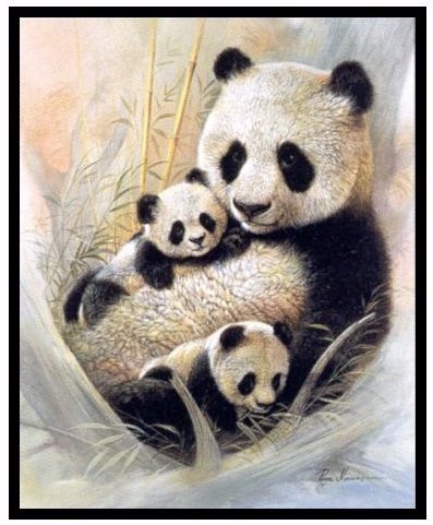 panda - panda - оригинал