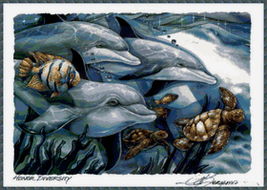 дельфины - подводное царство - предпросмотр