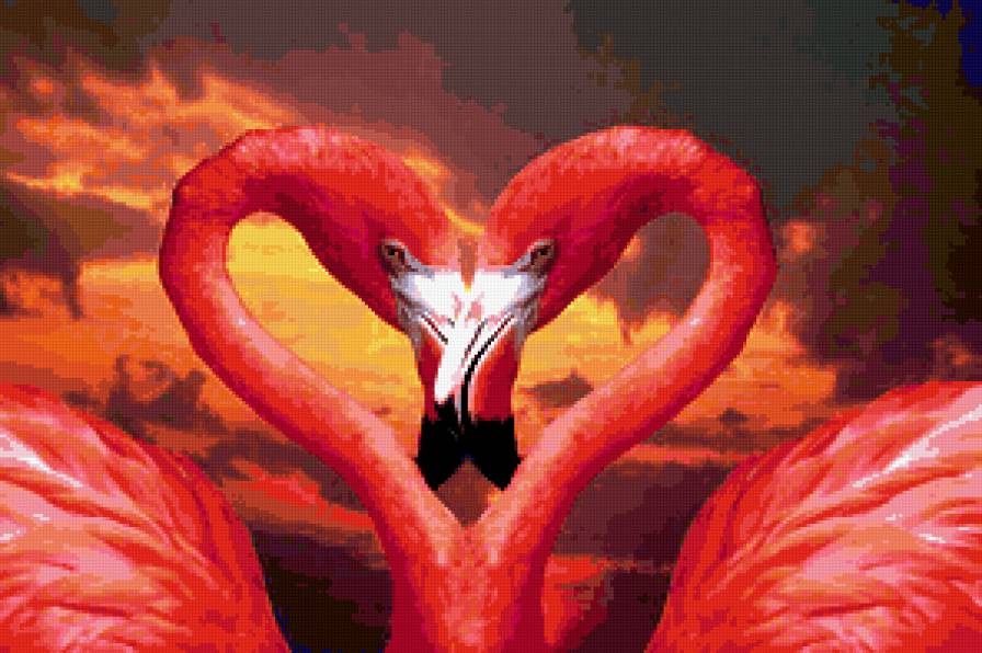 розовые фламинго - птицы - предпросмотр