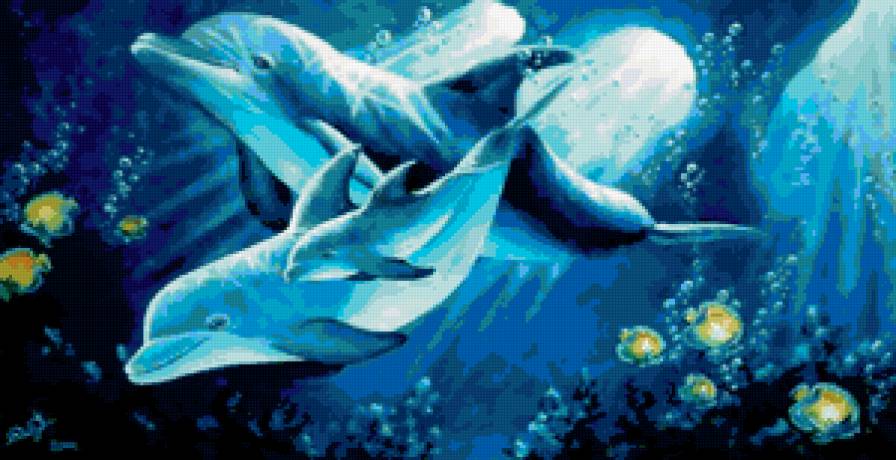 delfini - delfini, animals - предпросмотр