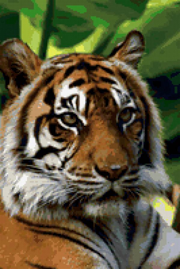 Киса.. - предпросмотр