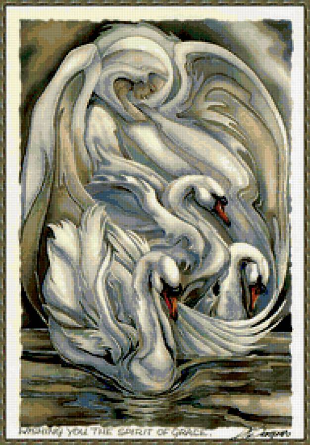 лебеди - птицы - предпросмотр