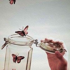 Схема вышивки «Бабочки»