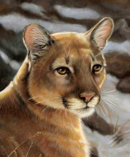 пума - оригинал