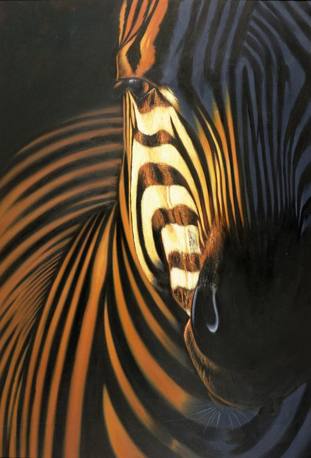 Зебра - африка, животные - оригинал