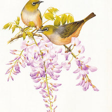 Схема вышивки «№387743»