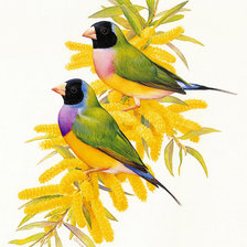 Схема вышивки «№387762»