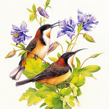 Схема вышивки «№387769»