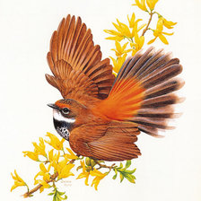 Схема вышивки «№387774»