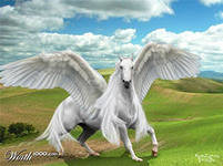 Схема вышивки «пегас»