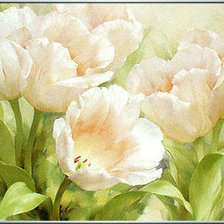 Оригинал схемы вышивки «белые тюльпаны» (№387893)