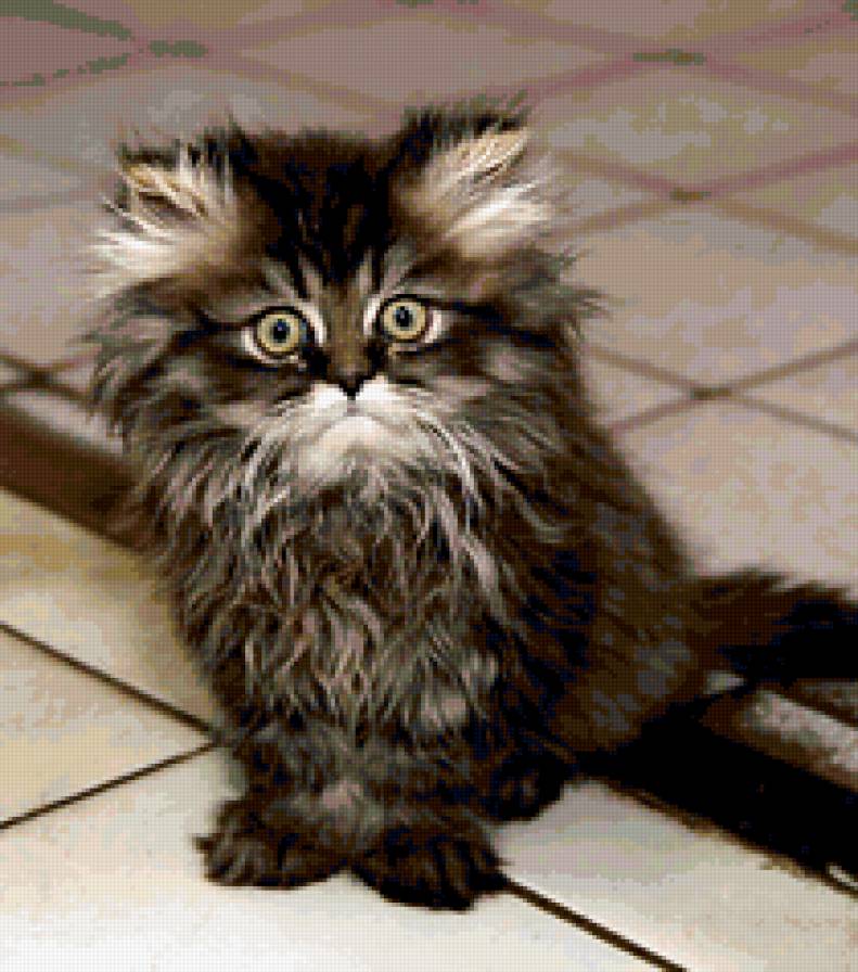 Глазастое чудо. - предпросмотр