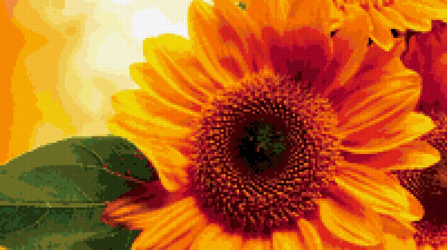 подсолнух - цветок, солнце - предпросмотр