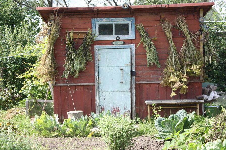 Хозяйственный домик - огород, сарай, дача, овощи - оригинал