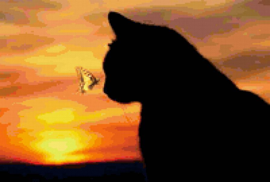 кицюня - закат, кошка, животное - предпросмотр