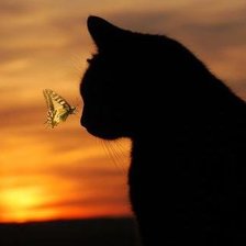 Схема вышивки «кицюня»