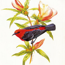 Схема вышивки «№388420»