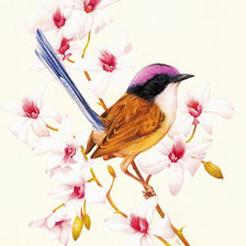 Схема вышивки «№388431»