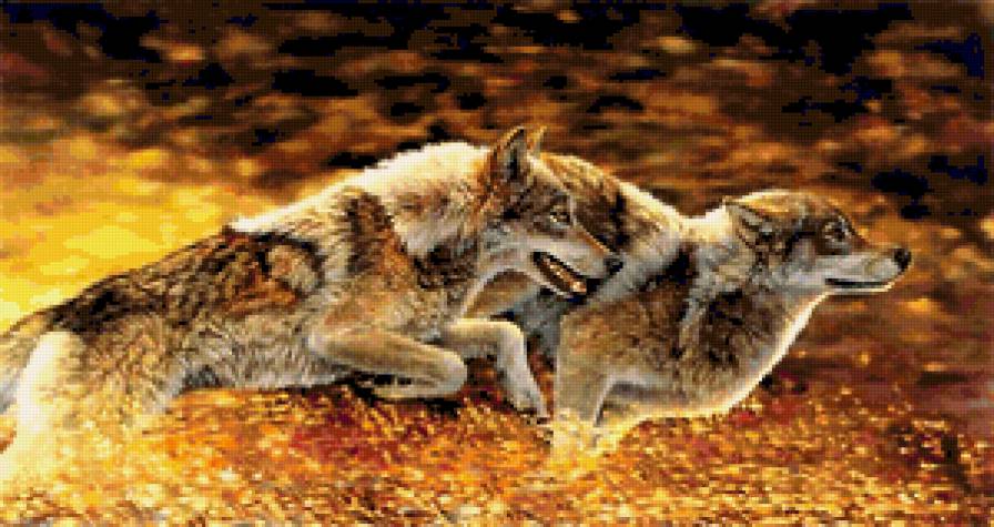 №388433 - птицы, дикая природа, утки, олени, орлы, медведи, волки, охота - предпросмотр