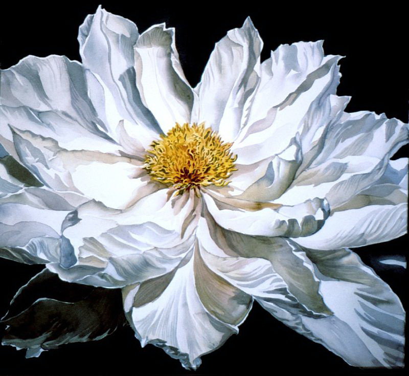 №388466 - оригинал