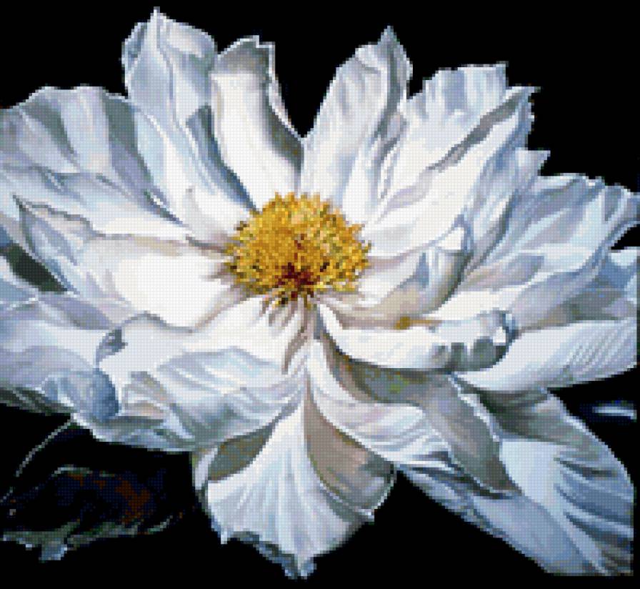 №388466 - предпросмотр