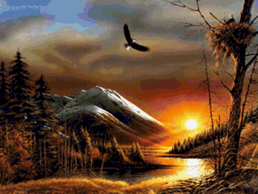 №388527 - медведи, орлы, охота, птицы, утки, волки, олени, дикая природа - предпросмотр