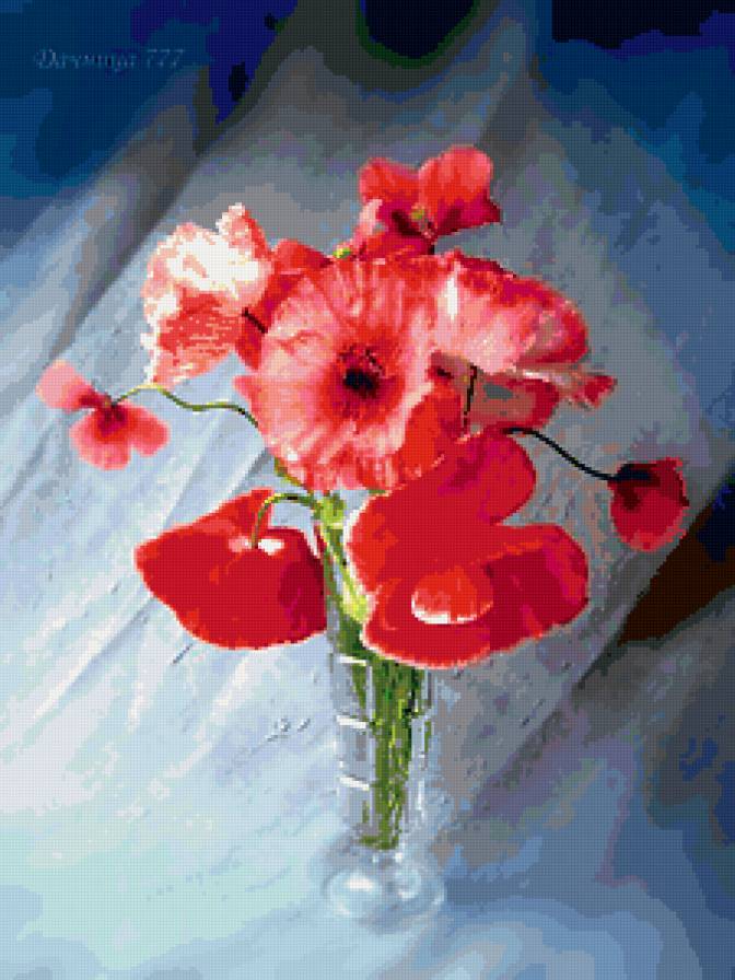 маки - букет, натюрморт, маки, цветы - предпросмотр