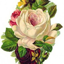 Оригинал схемы вышивки «розы» (№388817)