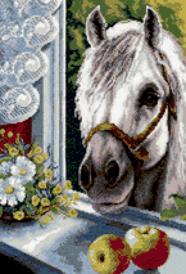 любопытный сосед - окно, лошади - предпросмотр