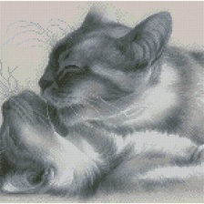 Оригинал схемы вышивки «кошачья нежность» (№388859)