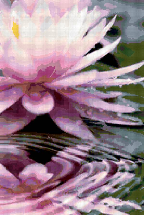 Лотос - кувшинки, цветы, вода, лотос - предпросмотр