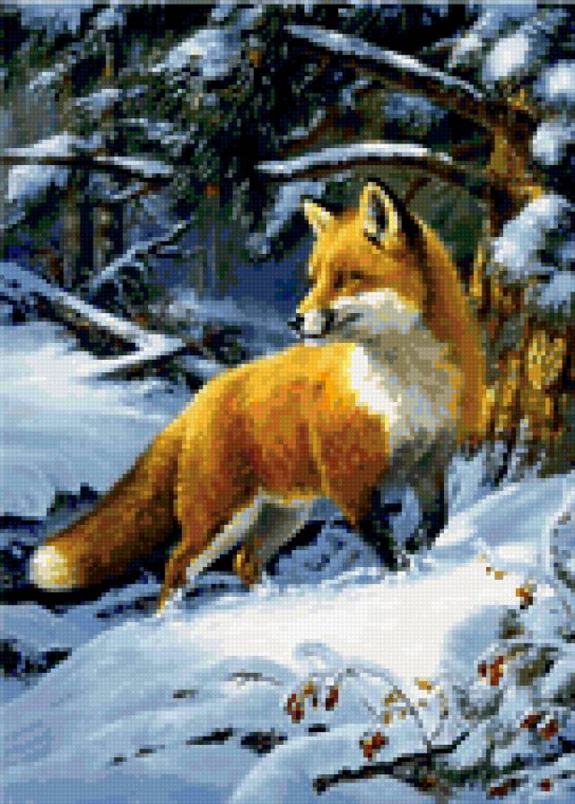 0118 - лес, животные, зима, картина, лиса, природа, красота - предпросмотр