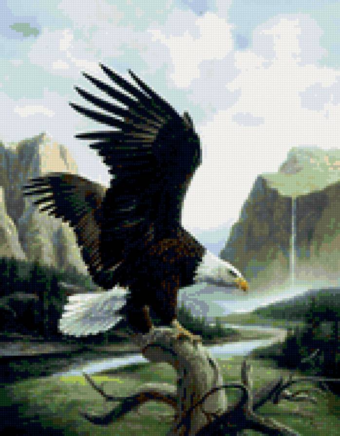 0119 - природа, птицы, красота, орел, картина - предпросмотр