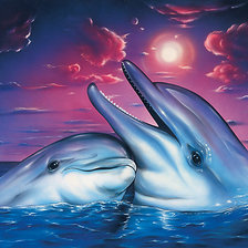 Схема вышивки «delfini»