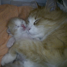 Схема вышивки «сладкий сон»