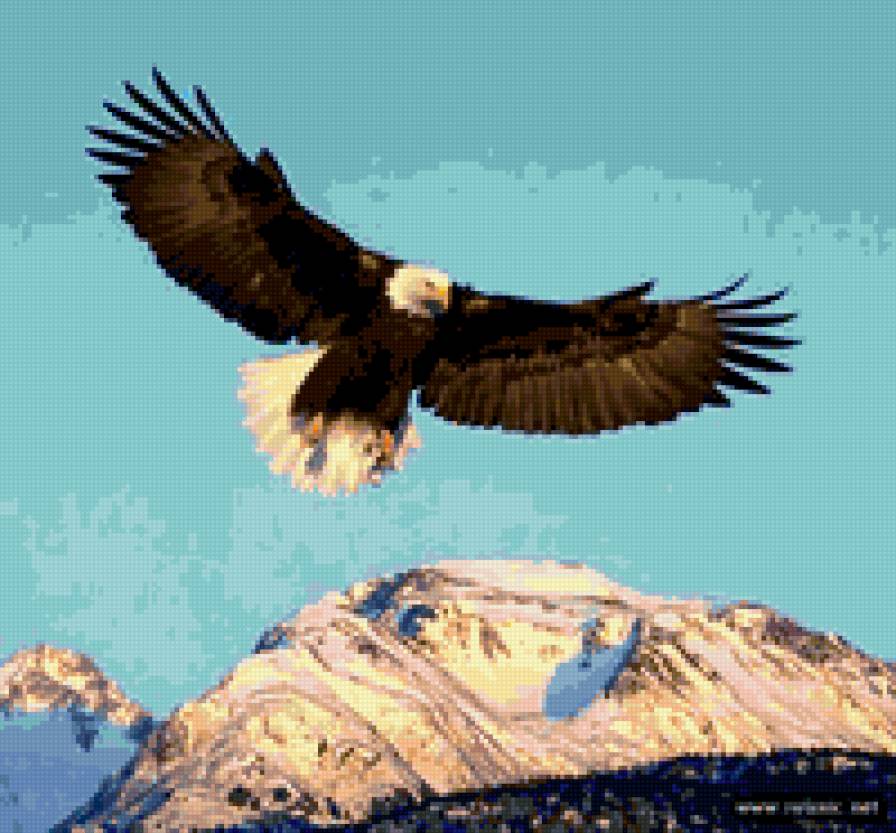 полет - орел - предпросмотр