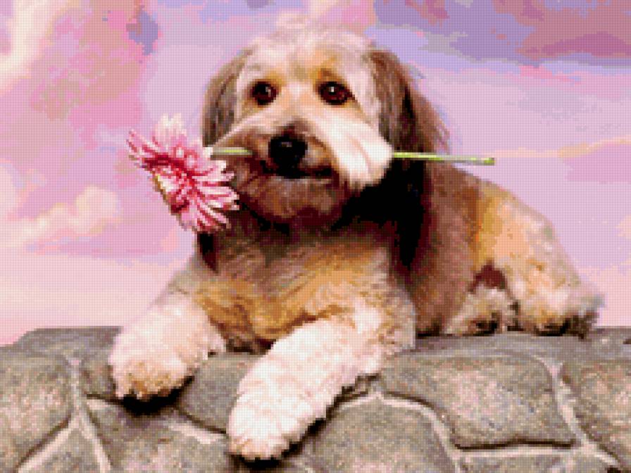 Дарю с любовью... - предпросмотр