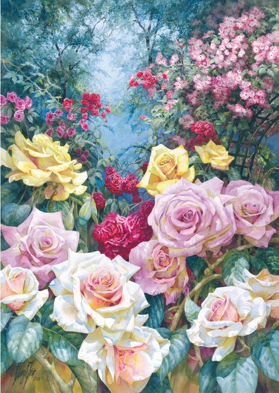 розы - оригинал