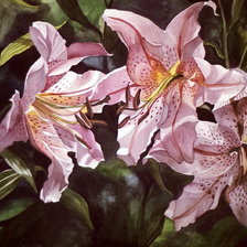 Схема вышивки «№389159»