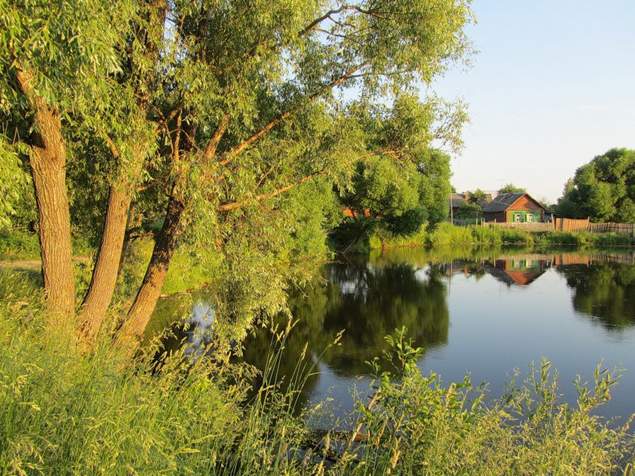 №389289 - озеро, деревья, река, природа, пейзаж - оригинал