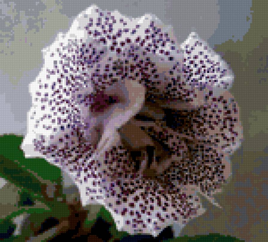 глоксиния-варьете - цветы - предпросмотр